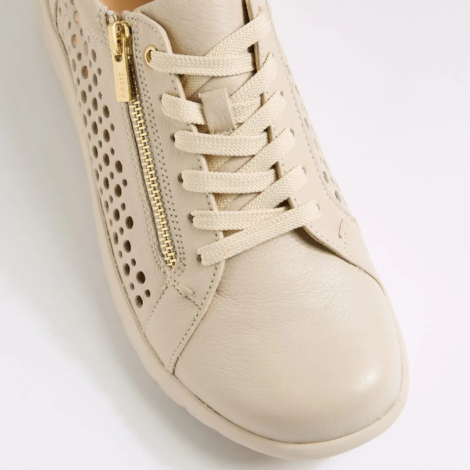 Shovo Xf Almond