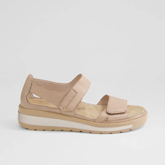 Gedd W Cafe / Pale Rose Gold