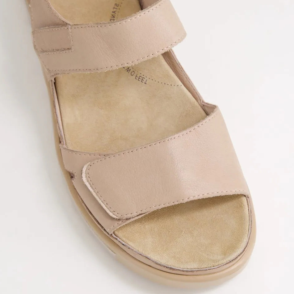 Gedd W Cafe / Pale Rose Gold