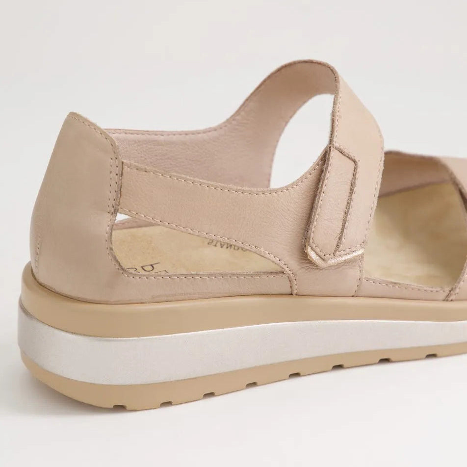 Gedd W Cafe / Pale Rose Gold