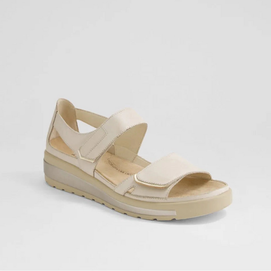 Gedd W Almond / Pale Gold