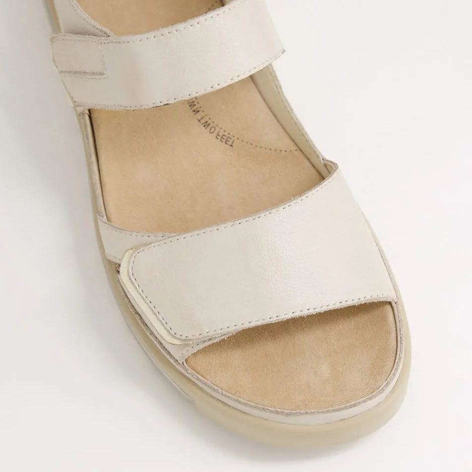 Gedd W Almond / Pale Gold