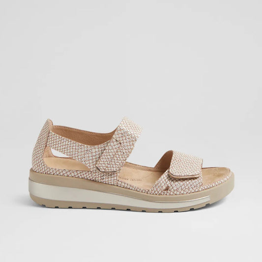 Gedd W Camel Almond Print
