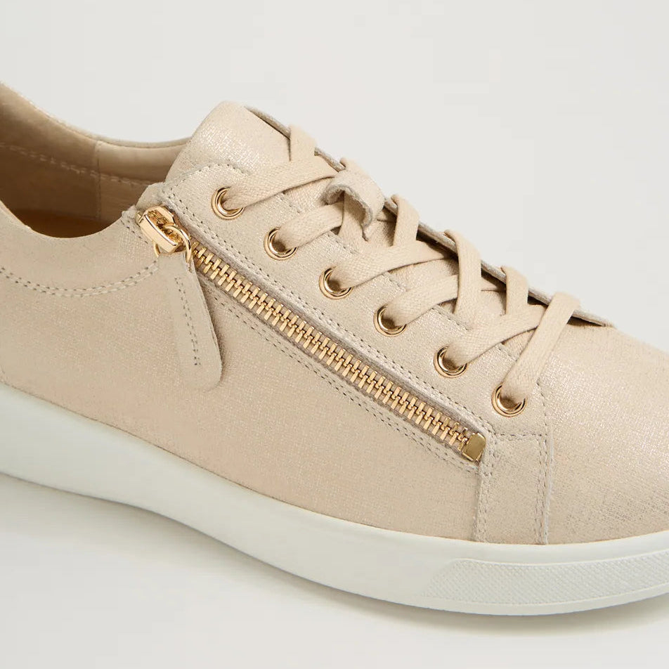 Aito XF Beige Gold Print
