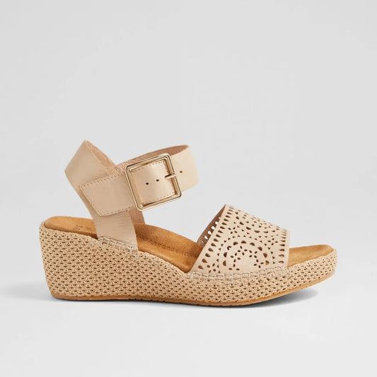 Killion Xw Camel