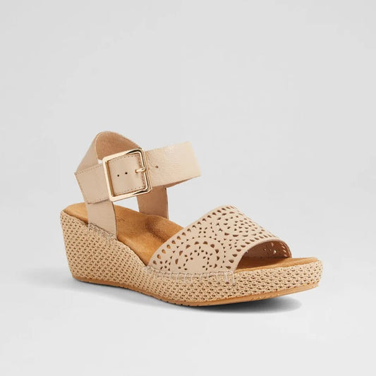 Killion Xw Camel