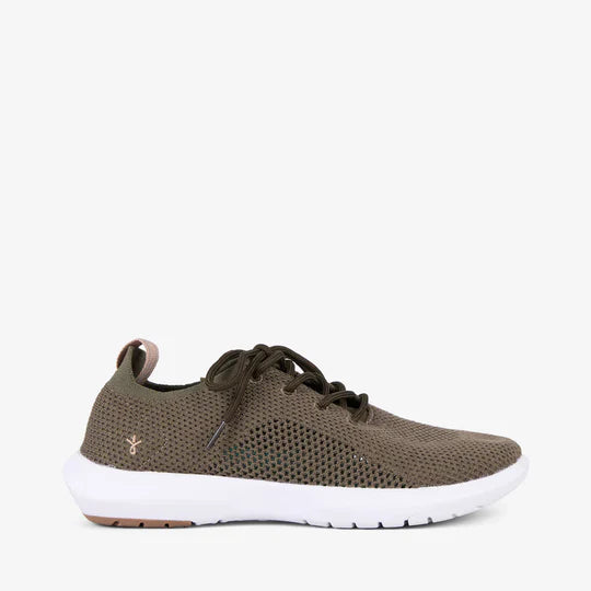 Springbrook Dark Olive