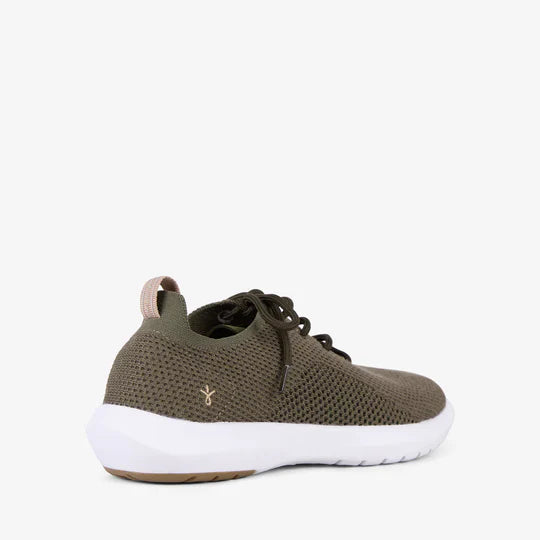 Springbrook Dark Olive